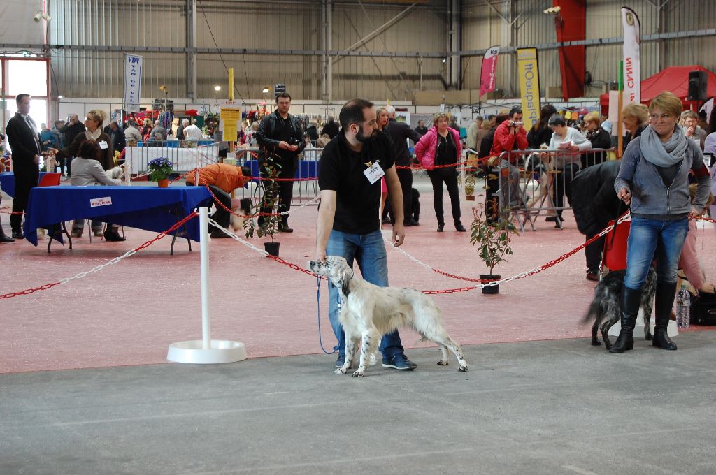 TR. Ivory de Meliador